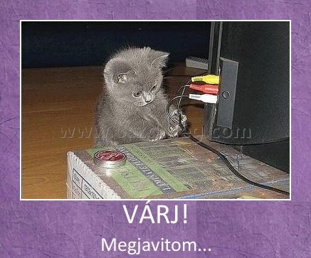 VÁRJ! VÁRJ!
Megjavitom...