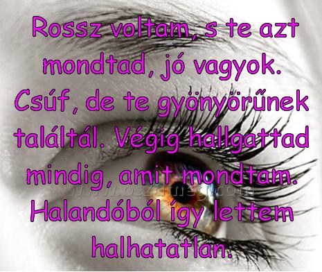  Rossz voltam
 
 Rossz voltam, s te azt mondtad, jó vagyok. Csúf, de te gyönyörűnek találtál. Végig hallgattad mindig, amit mondtam. Halandóból így lettem halhatatlan.