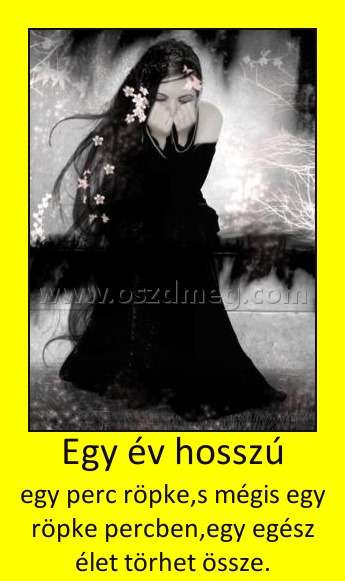 Egy év hosszú Egy év hosszú
egy perc röpke,s mégis egy röpke percben,egy egész élet törhet össze.