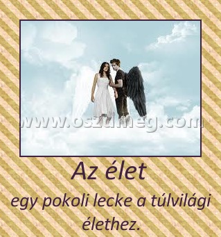 Az élet Az élet
egy pokoli lecke a túlvilági élethez.