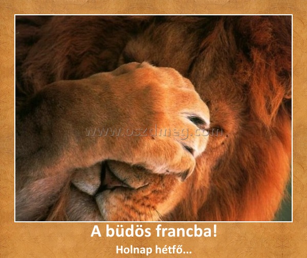 A büdös francba! A büdös francba!
Holnap hétfő...