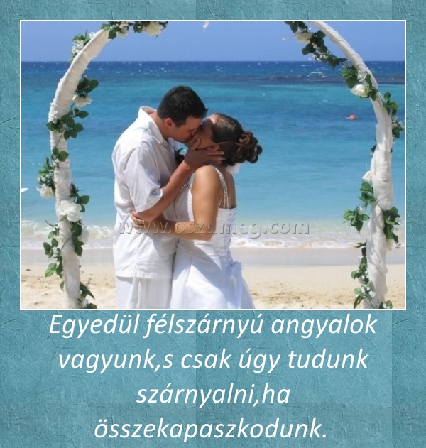 Egyedül félszárnyú angyalok vagyunk,s csak úgy tudunk szárnyalni,ha összekapaszkodunk. 
 
