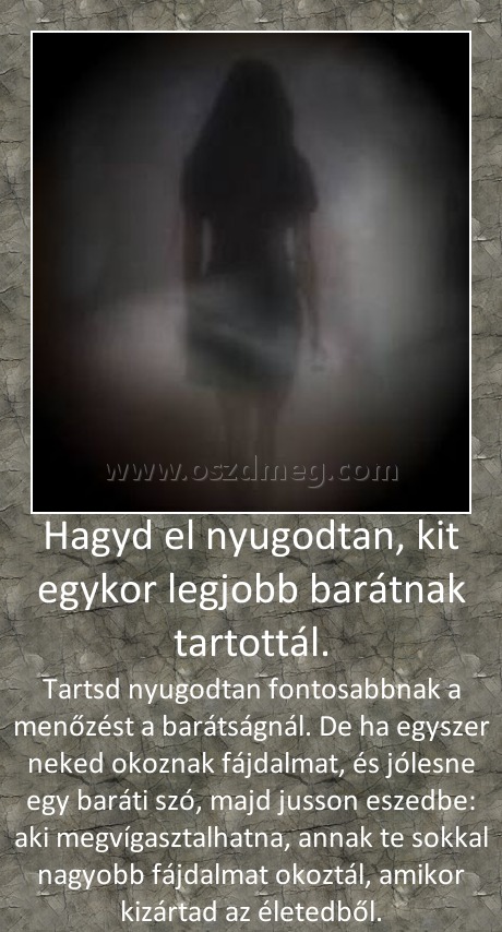 Hagyd el nyugodtan, kit egykor legjobb barátnak tartottál.
 
Tartsd nyugodtan fontosabbnak a menőzést a barátságnál. De ha egyszer neked okoznak fájdalmat, és jólesne egy baráti szó, majd jusson eszedbe: aki megvígasztalhatna, annak te sokkal nagyobb fájdalmat okoztál, amikor kizártad az életedből.