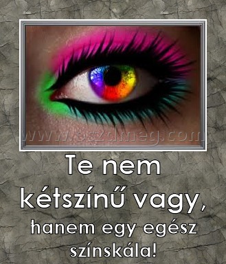 Te nem kétszínű vagy, Te nem kétszínű vagy,
hanem egy egész színskála!