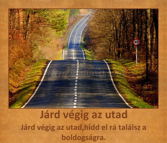 Járd végig az utad Járd végig az utad
Járd végig az utad,hidd el rá találsz a boldogságra.