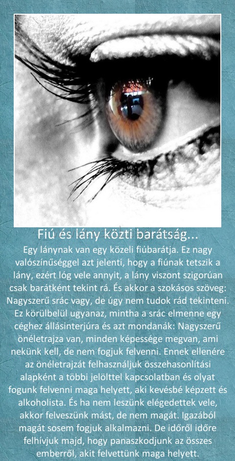 Fiú és lány közti barátság...
 
Egy lánynak van egy közeli fiúbarátja. Ez nagy valószínűséggel azt jelenti, hogy a fiúnak tetszik a lány, ezért lóg vele annyit, a lány viszont szigorúan csak barátként tekint rá. És akkor a szokásos szöveg: Nagyszerű srác vagy, de úgy nem tudok rád tekinteni. Ez körülbelül ugyanaz, mintha a srác elmenne egy céghez állásinterjúra és azt mondanák: Nagyszerű önéletrajza van, minden képessége megvan, ami nekünk kell, de nem fogjuk felvenni. Ennek ellenére az önéletrajzát felhasználjuk összehasonlítási alapként a többi jelölttel kapcsolatban és olyat fogunk felvenni maga helyett, aki kevésbé képzett és alkoholista. És ha nem leszünk elégedettek vele, akkor felveszünk mást, de nem magát. Igazából magát sosem fogjuk alkalmazni. De időről időre felhívjuk majd, hogy panaszkodjunk az összes emberről, akit felvettünk maga helyett.