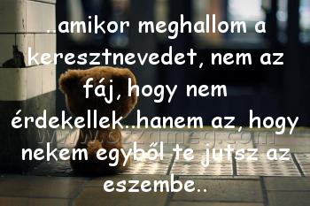 ..amikor meghallom a keresztnevedet,
 
..amikor meghallom a keresztnevedet, nem az fáj, hogy nem érdekellek..hanem az, hogy nekem egyből te jutsz az eszembe..
