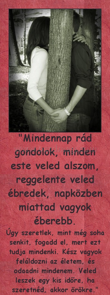 "Mindennap rád gondolok, minden este veled alszom, reggelente veled ébredek, napközben miattad vagyok éberebb.
 
Úgy szeretlek, mint még soha senkit, fogadd el, mert ezt tudja mindenki. Kész vagyok feláldozni az életem, és odaadni mindenem. Veled leszek egy kis időre, ha szeretnéd, akkor örökre.