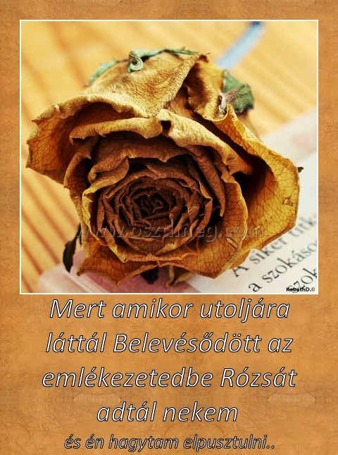 Mert amikor utoljára Mert amikor utoljára
és én hagytam elpusztulni..