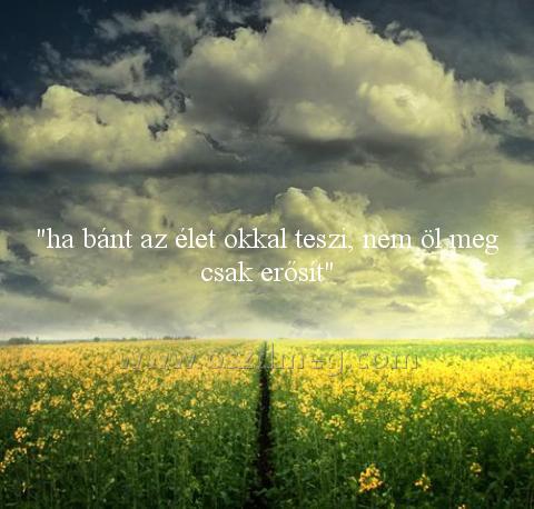 "ha bánt az élet "ha bánt az élet