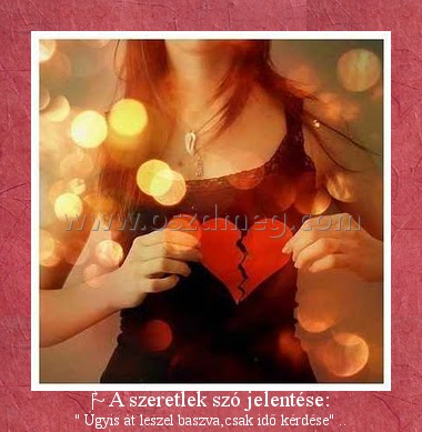 ‎~ A szeretlek szó jelentése:
 
