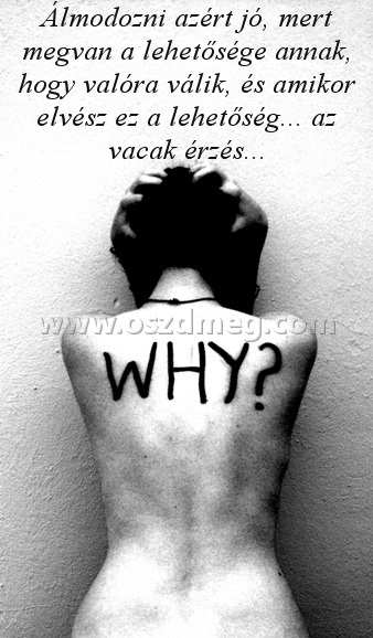 Álmodozni azért jó
 
Álmodozni azért jó, mert megvan a lehetősége annak, hogy valóra válik, és amikor elvész ez a lehetőség... az vacak érzés...