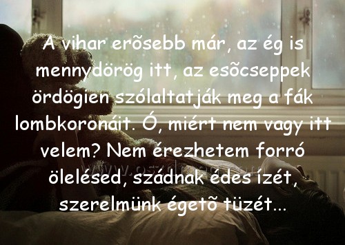 A vihar erõsebb már
 
A vihar erõsebb már, az ég is mennydörög itt, az esõcseppek ördögien szólaltatják meg a fák lombkoronáit. Ó, miért nem vagy itt velem? Nem érezhetem forró ölelésed, szádnak édes ízét, szerelmünk égetõ tüzét...