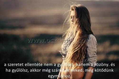 a szeretet ellentéte nem
 
a szeretet ellentéte nem a gyűlölet, hanem a közöny. és ha gyűlölsz, akkor még számítok neked, még kötődünk egymáshoz.