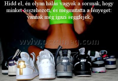 Hidd el
 
Hidd el, én olyan hálás vagyok a sorsnak, hogy minket összehozott, és megmutatta a lényeget: vannak még igazi seggfejek.