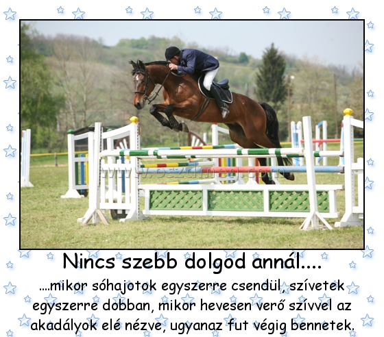 Nincs szebb dolgod annál....
 
....mikor sóhajotok egyszerre csendül, szívetek egyszerre dobban, mikor hevesen verő szívvel az akadályok elé nézve, ugyanaz fut végig bennetek.