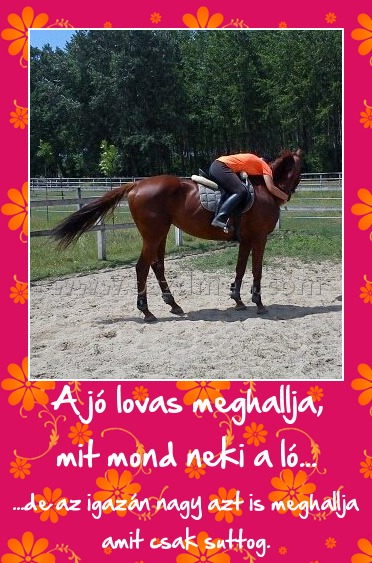 A jó lovas meghallja, mit mond neki a ló...
 
...de az igazán nagy azt is meghallja amit csak suttog.