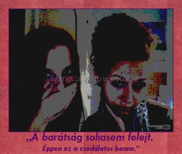 „A barátság sohasem felejt. 
 
Éppen ez a csodálatos benne.”