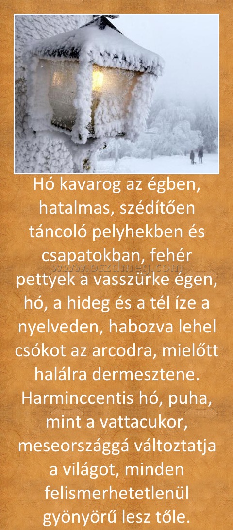 Hó kavarog az égben, hatalmas, szédítően táncoló pelyhekben és csapatokban, fehér pettyek a vasszürke égen, hó, a hideg és a tél íze a nyelveden, habozva lehel csókot az arcodra, mielőtt halálra dermesztene. Harminccentis hó, puha, mint a vattacukor, mese
 
