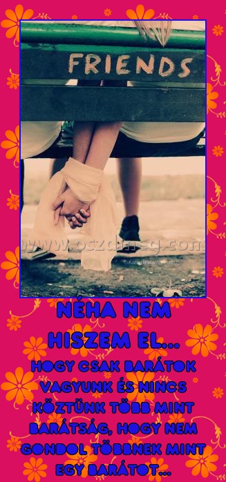 Néha nem hiszem el...
 
hogy csak barátok vagyunk és nincs köztünk több mint barátság, hogy nem gondol többnek mint egy barátot...