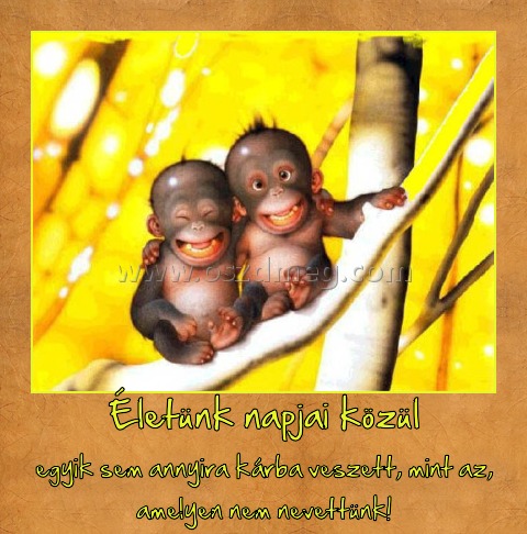 Életünk napjai közül
 
egyik sem annyira kárba veszett, mint az, amelyen nem nevettünk!