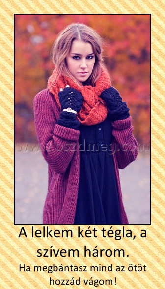 A lelkem két tégla, a szívem három.
 
Ha megbántasz mind az ötöt hozzád vágom!
