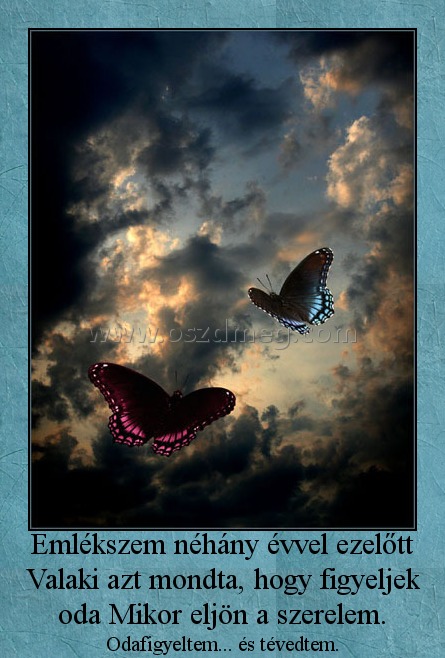 Emlékszem néhány évvel ezelőtt Valaki azt mondta, hogy figyeljek oda Mikor eljön a szerelem.
 
Odafigyeltem... és tévedtem.