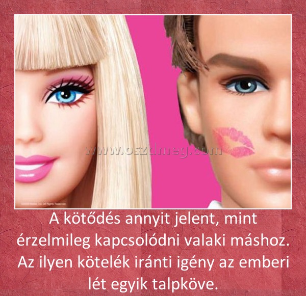 A kötődés A kötődés