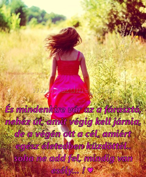 És mindenkire vár az
 
És mindenkire vár az a fárasztó, nehéz út, amit végig kell járnia, de a végén ott a cél, amiért egész életedben küzdöttél.. soha ne add fel, mindig van esély... ! ♥ 
