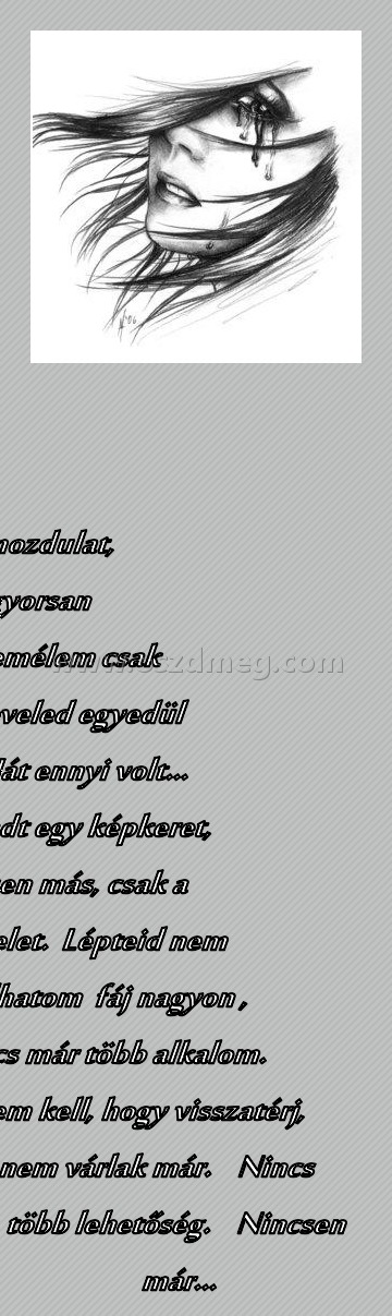 Hát ennyi volt......... :(
 
Egy pillanat, egy mozdulat,  az álomkép gyorsan szétszakad    Remélem csak álmodom  a leveled egyedül olvasom.    Hát ennyi volt…    Üres maradt egy képkeret,  nincsen más, csak a képzelet.  Lépteid nem hallhatom  fáj nagyon , nincs már több alkalom.    Nem kell, hogy visszatérj, nem várlak már.    Nincs több lehetőség.    Nincsen már...     