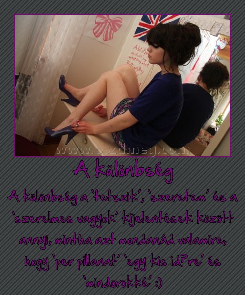 A különbség
 
A különbség a ‘tetszik’, ‘szeretem’ és a ‘szerelmes vagyok’ kijelentések között annyi, mintha azt mondanád valamire, hogy ‘per pillanat’ ‘egy kis időre’ és ‘mindörökké’ :)