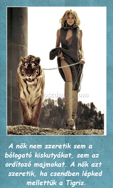 A nők 
 
A nők nem szeretik sem a bólogató kiskutyákat, sem az ordítozó majmokat. A nők azt szeretik, ha csendben lépked mellettük a Tigris.