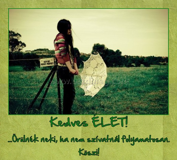 Kedves ÉLET! Kedves ÉLET!
...Örülnék neki, ha nem szívatnál folyamatosan. Köszi!