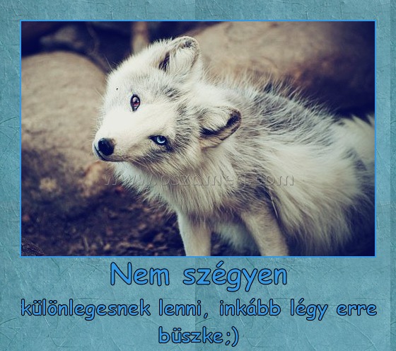 Nem szégyen
 
különlegesnek lenni, inkább légy erre büszke;)