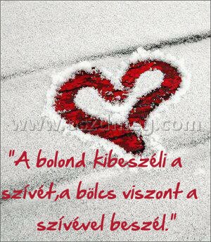 "A bolond kibeszéli a
 
