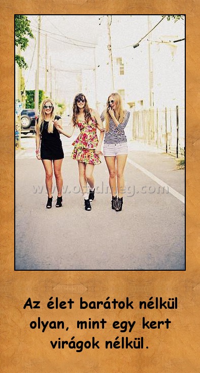 Az élet barátok nélkül olyan
 
Az élet barátok nélkül olyan, mint egy kert virágok nélkül.