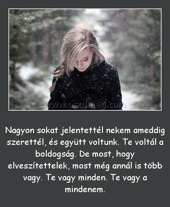 Nagyon sokat jelentettél nekem ameddig szerettél Nagyon sokat jelentettél nekem ameddig szerettél