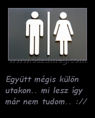 Együtt mégis külön utakon
 
