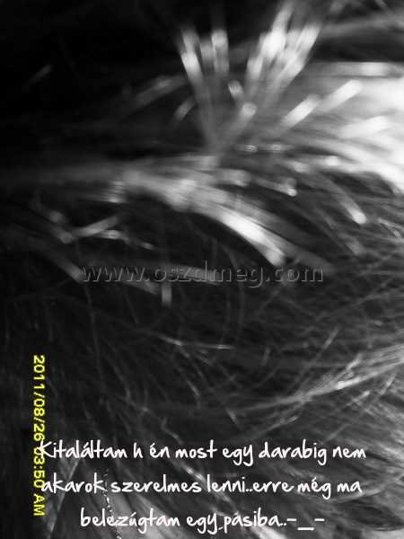 Kitaláltam h én most
 
Kitaláltam h én most egy darabig nem akarok szerelmes lenni..erre még ma belezúgtam egy pasiba..-_-