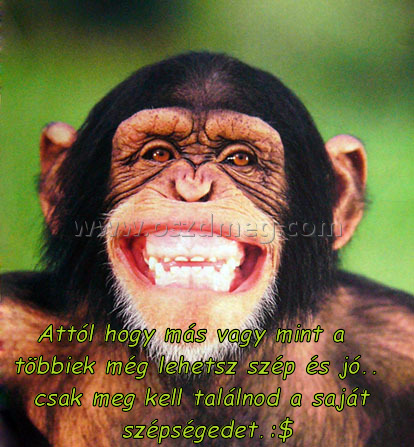 Attól hogy más vagy
 
Attól hogy más vagy mint a többiek még lehetsz szép és jó.. csak meg kell találnod a saját szépségedet.:$