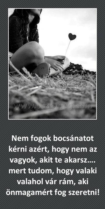 Nem fogok bocsánatot kérni azért
 
