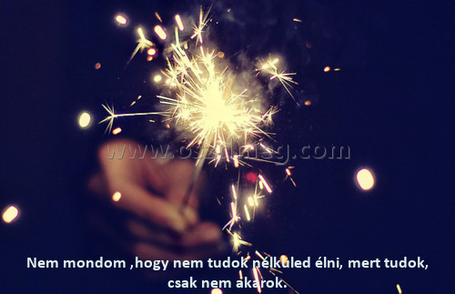 Nem mondom 
 
Nem mondom ,hogy nem tudok nélküled élni, mert tudok, csak nem akarok.