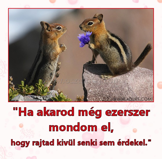 "Ha akarod még ezerszer mondom el,
 
hogy rajtad kivül senki sem érdekel."