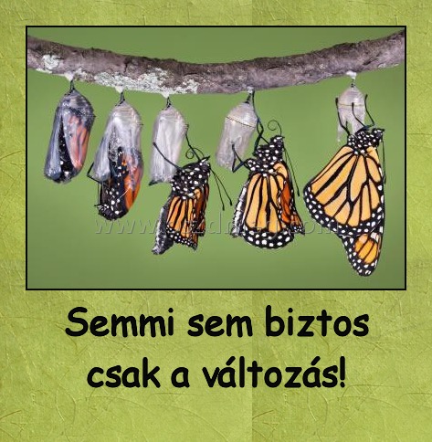 Semmi sem biztos csak a változás!
 
