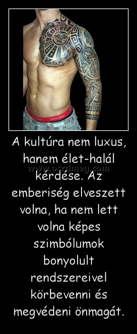 A kultúra nem luxus, hanem élet-halál kérdése. Az emberiség elveszett volna, ha nem lett volna képes szimbólumok bonyolult rendszereivel körbevenni és megvédeni önmagát.
 
