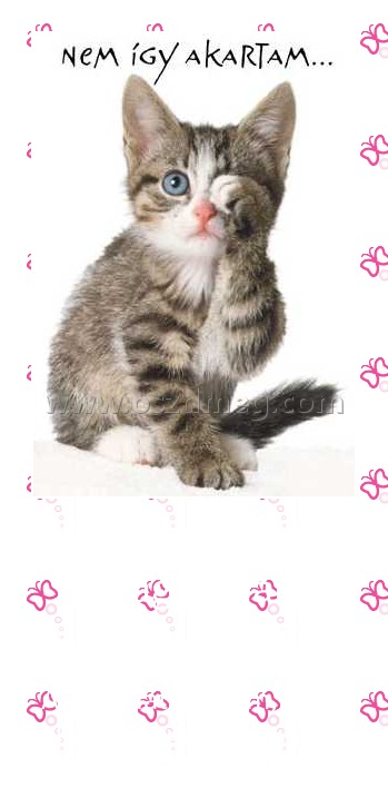 Megbocsájtok magamnak csöndben!
 
A hibáidat akarom, hogy elfeddjék az enyémeket.