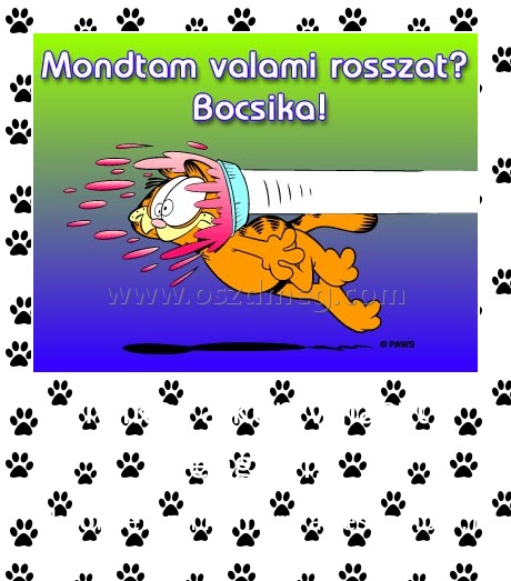 Mikor a kép választ engem;
 
akkor semmi nem jut az eszembe :)