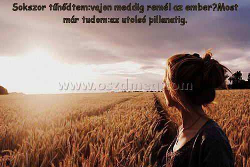 Sokszor tűnődtem:vajon meddig remél
 
Sokszor tűnődtem:vajon meddig remél az ember?Most már tudom:az utolsó pillanatig.