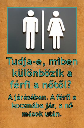 Tudja-e, miben különbözik a férfi a nőtől? 
 
A járásában. A férfi a kocsmába jár, a nő mások után.