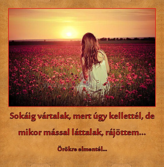 Sokáig vártalak, mert úgy kellettél, de mikor mással láttalak, rájöttem...
 
Örökre elmentél...